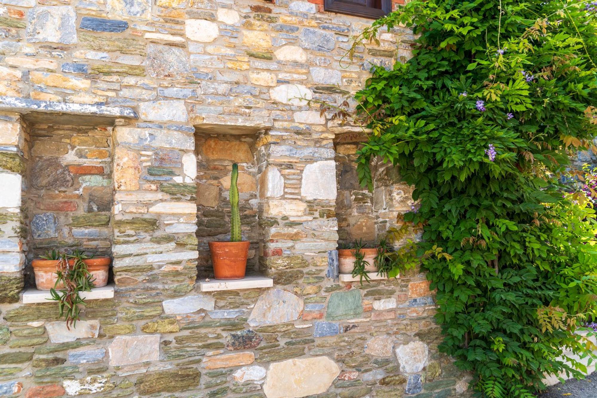 Villa Ionia House Selçuk Esterno foto