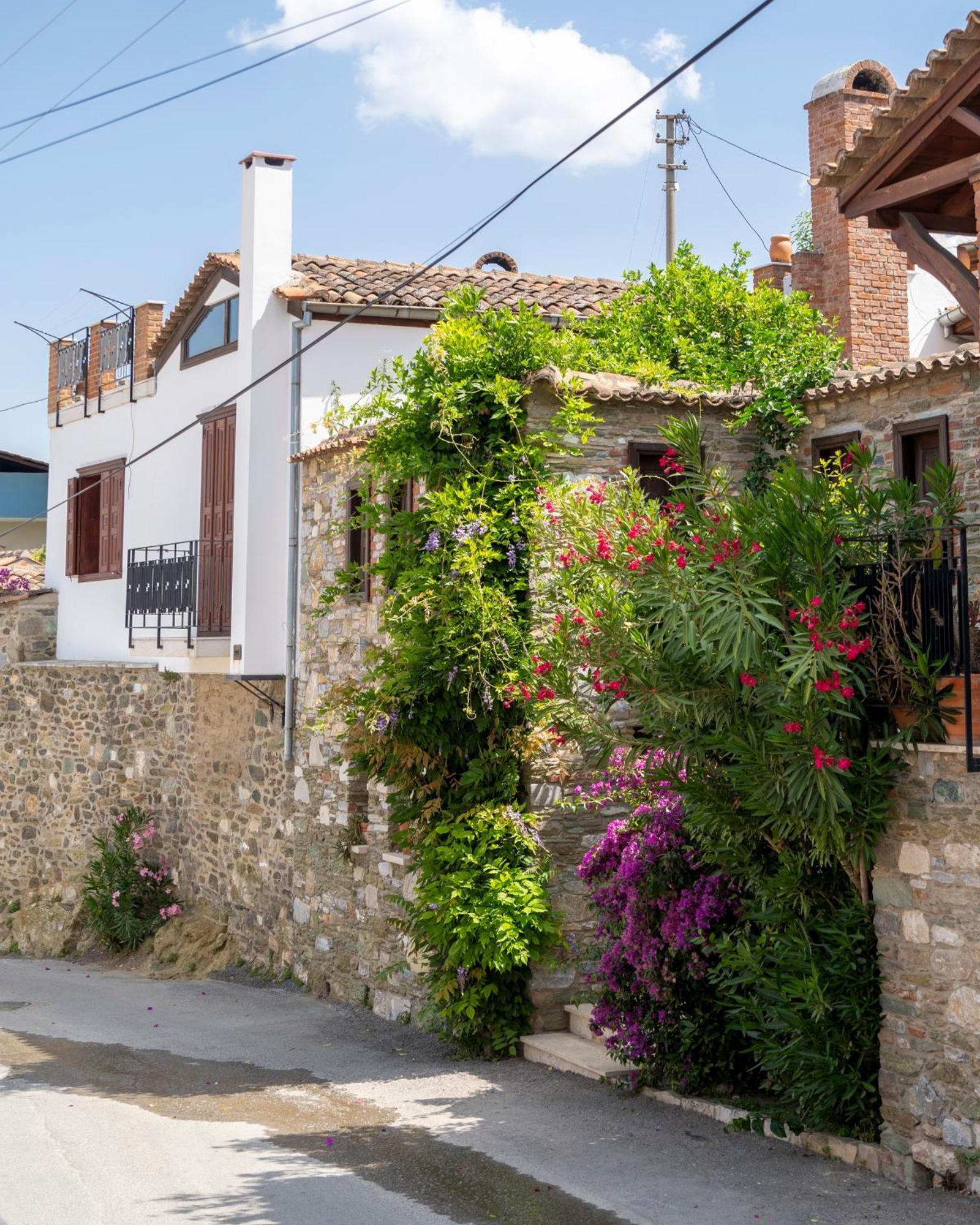 Villa Ionia House Selçuk Esterno foto